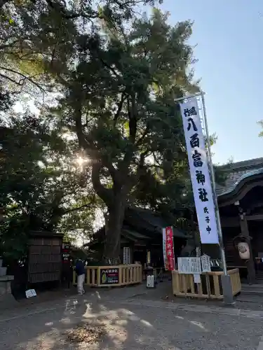 八百富神社の{uncategorized: "未分類", other: "その他", undefined: "問題あり", building: "その他建物", grave: "お墓", sacred_gate: "鳥居", guardian: "狛犬", statue: "像", buddha: "仏像", history: "歴史", nature: "自然", garden: "庭園", animal: "動物", pagoda: "塔", temizu: "手水舎", mountain_gate: "山門・神門", sanctuary: "本殿・本堂", subordinate: "末社・摂社", art: "芸術", scenery: "景色", jizo: "地蔵", ema: "絵馬", goshuin: "御朱印", omikuji: "おみくじ", items: "授与品その他", amulet: "お守り", goshuincho: "御朱印帳", eats: "食事", festival: "お祭り", votive_dance: "神楽", shichigosan: "七五三参", wedding: "結婚式", experience: "体験その他", initially: "初詣", around: "周辺", anti_infection: "感染症対策"}