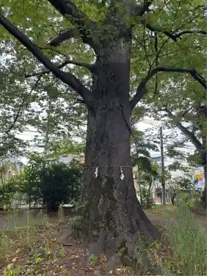 北野天満社(東京都)
