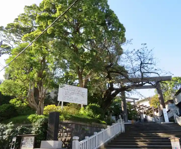 伊勢山皇大神宮の鳥居
