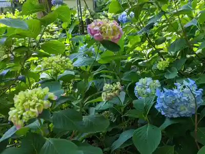 藤森神社(京都府)
