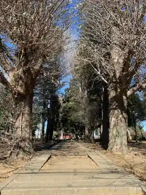 三芳野神社(埼玉県)