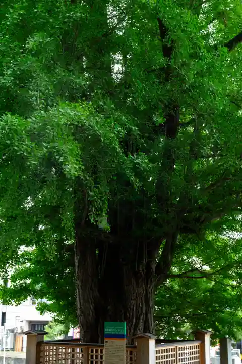 熊野大社(山形県)