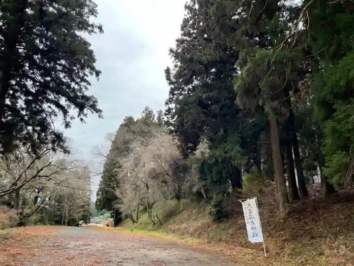 大宮温泉神社(栃木県)