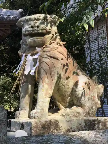 日和佐八幡神社の狛犬