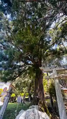 都々古和氣神社(京都府)