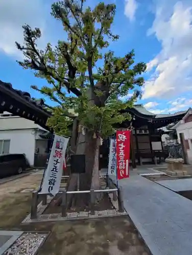 五條宮(大阪府)