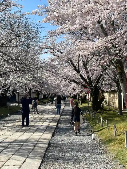 醍醐寺(京都府)