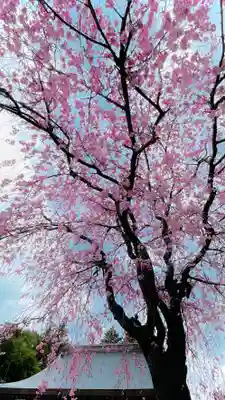 浄居寺(山梨県)