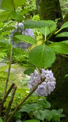 宝蔵寺(京都府)