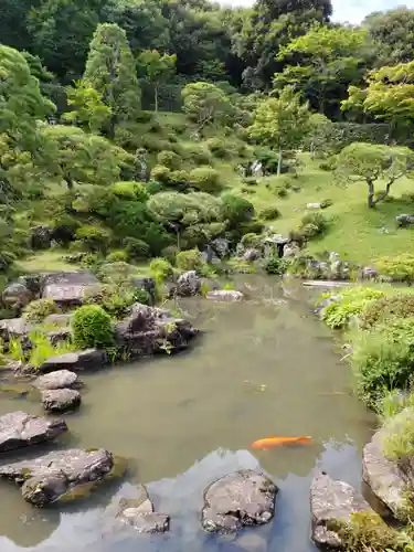 能仁寺の庭園