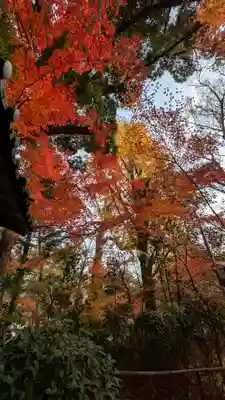 長岡天満宮(京都府)