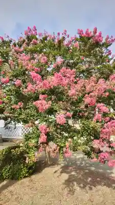 玉泉寺(福島県)