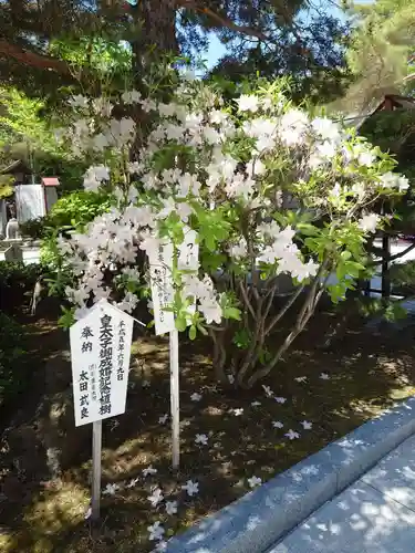 北見神社の庭園