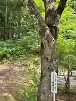 土津神社|こどもと出世の神さま(福島県)