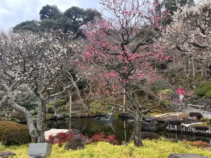 長谷寺(神奈川県)