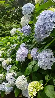 吉備津神社(岡山県)