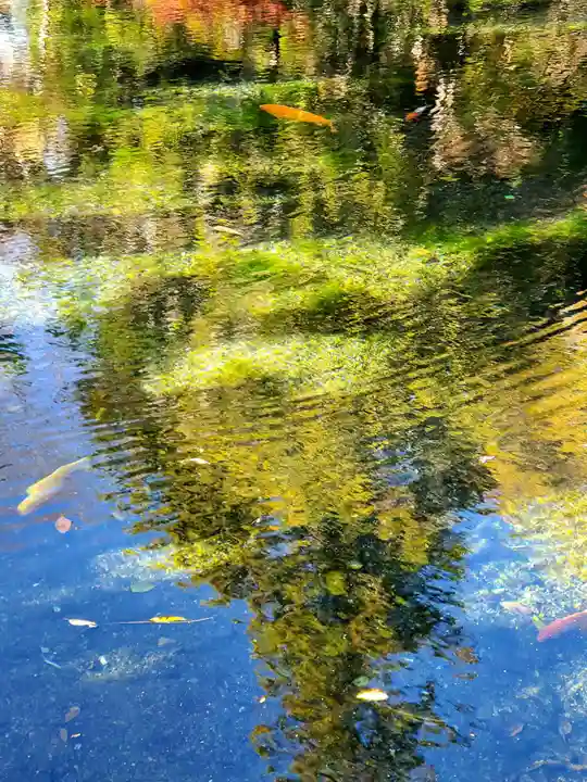 磯山弁財天(栃木県)