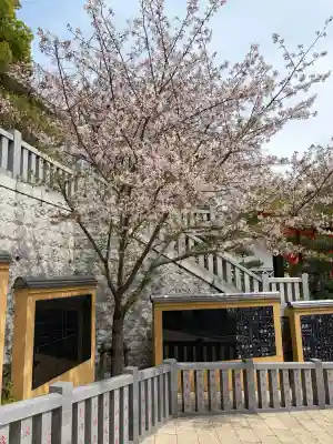 放生寺の{uncategorized: "未分類", other: "その他", undefined: "問題あり", building: "その他建物", grave: "お墓", sacred_gate: "鳥居", guardian: "狛犬", statue: "像", buddha: "仏像", history: "歴史", nature: "自然", garden: "庭園", animal: "動物", pagoda: "塔", temizu: "手水舎", mountain_gate: "山門・神門", sanctuary: "本殿・本堂", subordinate: "末社・摂社", art: "芸術", scenery: "景色", jizo: "地蔵", ema: "絵馬", goshuin: "御朱印", omikuji: "おみくじ", items: "授与品その他", amulet: "お守り", goshuincho: "御朱印帳", eats: "食事", festival: "お祭り", votive_dance: "神楽", shichigosan: "七五三参", wedding: "結婚式", experience: "体験その他", initially: "初詣", around: "周辺", anti_infection: "感染症対策"}
