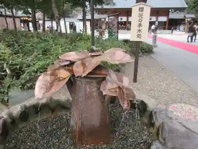 櫻木神社の手水舎