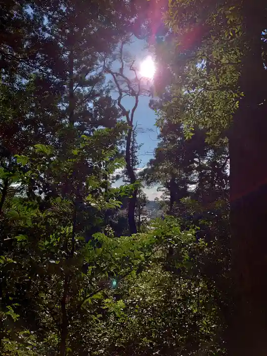 事任八幡宮の景色