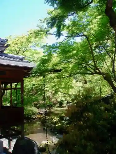 宝厳院の庭園