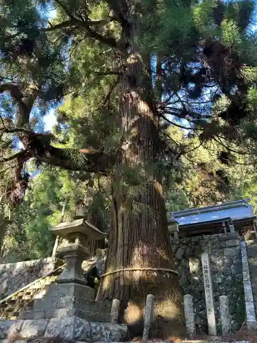 八柱神社(長野県)