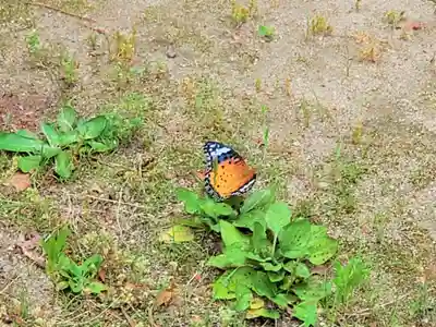 猪名野神社の動物
