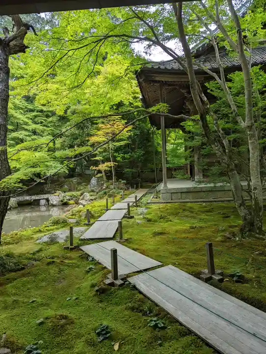 蓮華寺(洛北蓮華寺)(京都府)