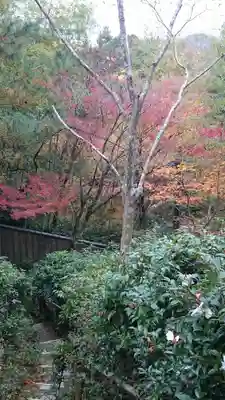 滝口寺のその他建物