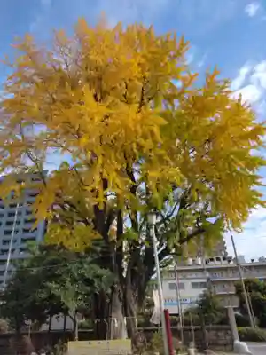 磐井神社(東京都)