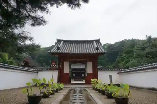 萬福寺の山門・神門