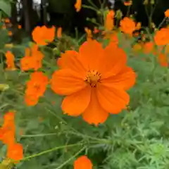 豊景神社の自然