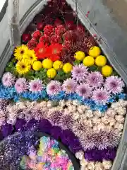 鹿島台神社の手水