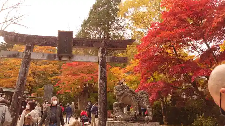 古峯神社の鳥居