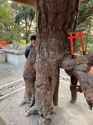 伏見稲荷大社の自然