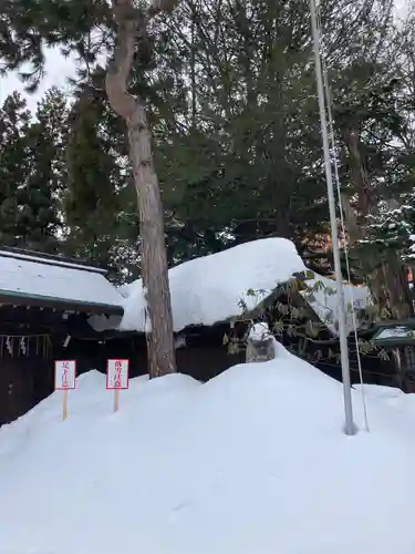 琴似神社の狛犬