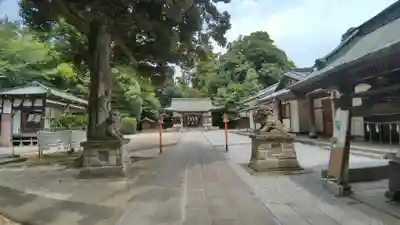 氷川神社(埼玉県)