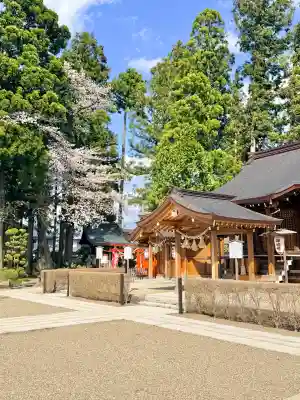 諏訪神社の{uncategorized: "未分類", other: "その他", undefined: "問題あり", building: "その他建物", grave: "お墓", sacred_gate: "鳥居", guardian: "狛犬", statue: "像", buddha: "仏像", history: "歴史", nature: "自然", garden: "庭園", animal: "動物", pagoda: "塔", temizu: "手水舎", mountain_gate: "山門・神門", sanctuary: "本殿・本堂", subordinate: "末社・摂社", art: "芸術", scenery: "景色", jizo: "地蔵", ema: "絵馬", goshuin: "御朱印", omikuji: "おみくじ", items: "授与品その他", amulet: "お守り", goshuincho: "御朱印帳", eats: "食事", festival: "お祭り", votive_dance: "神楽", shichigosan: "七五三参", wedding: "結婚式", experience: "体験その他", initially: "初詣", around: "周辺", anti_infection: "感染症対策"}