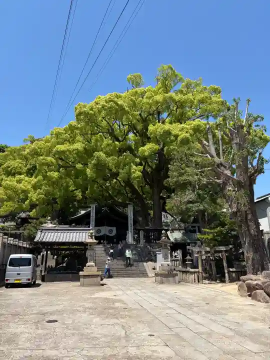 艮神社の{uncategorized: "未分類", other: "その他", undefined: "問題あり", building: "その他建物", grave: "お墓", sacred_gate: "鳥居", guardian: "狛犬", statue: "像", buddha: "仏像", history: "歴史", nature: "自然", garden: "庭園", animal: "動物", pagoda: "塔", temizu: "手水舎", mountain_gate: "山門・神門", sanctuary: "本殿・本堂", subordinate: "末社・摂社", art: "芸術", scenery: "景色", jizo: "地蔵", ema: "絵馬", goshuin: "御朱印", omikuji: "おみくじ", items: "授与品その他", amulet: "お守り", goshuincho: "御朱印帳", eats: "食事", festival: "お祭り", votive_dance: "神楽", shichigosan: "七五三参", wedding: "結婚式", experience: "体験その他", initially: "初詣", around: "周辺", anti_infection: "感染症対策"}