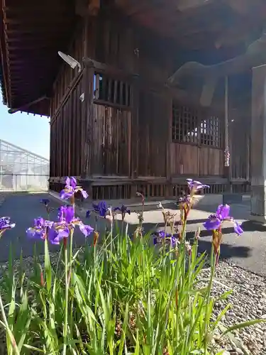 子之神社の本殿