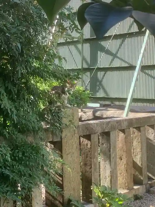 三輪神社の動物