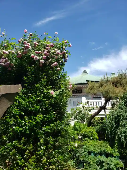 薬師寺 南蔵院 (東京都)