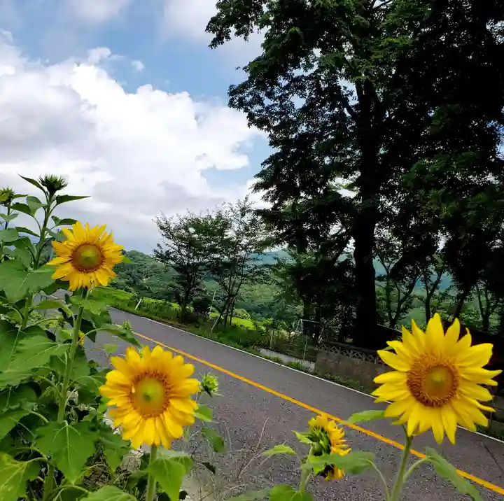 高司神社〜むすびの神の鎮まる社〜(福島県)