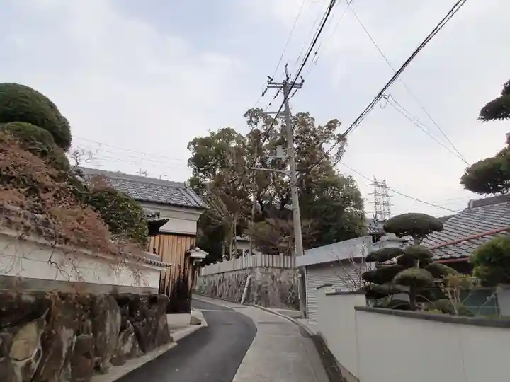 常世岐姫神社の周辺