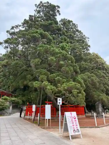 香椎宮(福岡県)