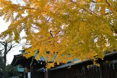 三嶋大社(静岡県)