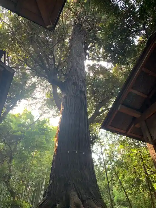 高野神社(千葉県)