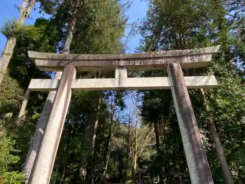 白山比咩神社の鳥居