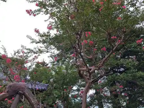 光明院　薬師堂(新潟県)