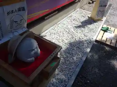 菊名神社の体験その他